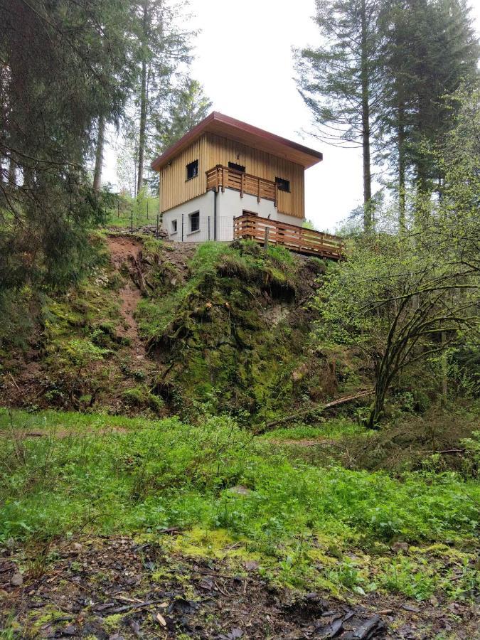 Le Refuge Perche Du Saut De La Bourrique Spa, Terrain Cloture ジェラールメ エクステリア 写真
