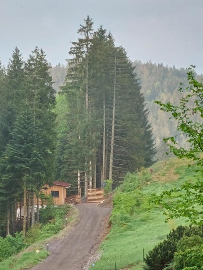 Le Refuge Perche Du Saut De La Bourrique Spa, Terrain Cloture ジェラールメ エクステリア 写真