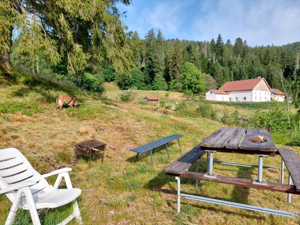 Le Refuge Perche Du Saut De La Bourrique Spa, Terrain Cloture ジェラールメ エクステリア 写真